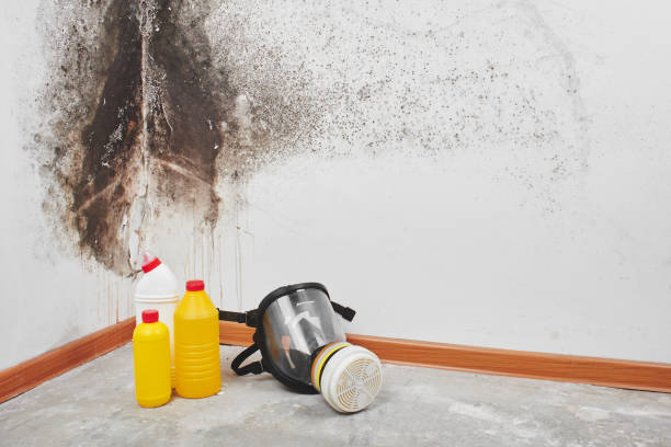 Water Damage Restoration in Hardin, MT