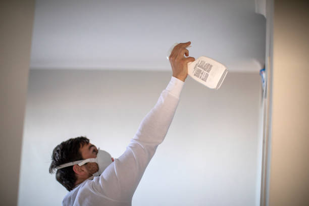 Best Certified Mold Removal  in Hardin, MT