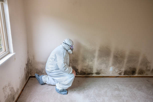Best Commercial Mold Removal  in Hardin, MT